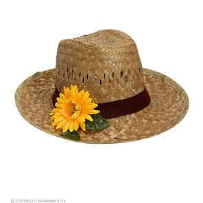 Farmerhut Sonnenblume Stroh